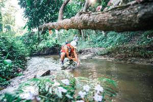 BIB: 
                            <button type="button" onclick="openModal(25432779)" class="btn btn-primary btn-sm float-right btn-popup" data-toggle="modal" data-target=".modal-high-quality">
                        <i class="fas fa-shopping-cart"></i> Add to Cart
                    </button>
                                            <button type="button" onclick="isThisMe(25432779, true)" class="btn btn-success btn-sm float-right btn-popup btn-isme hidden" data-toggle="tooltip" data-placement="bottom" title="นี่คือรูปของคุณใช่ไหม คลิกที่นี่เพื่อเอาเข้าอัลบั้ม">
                        <i class="fas fa-plus"></i> Add to album
                    </button>
                    <button type="button" onclick="isThisMe(25432779, false)" class="btn btn-warning btn-sm float-right btn-popup btn-isnotme hidden">
                        <i class="fas fa-ban"></i> Remove from album
                    </button>